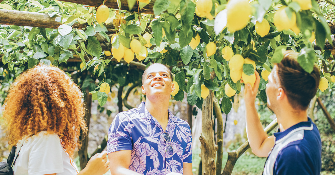 Save Up to 15% on Contiki